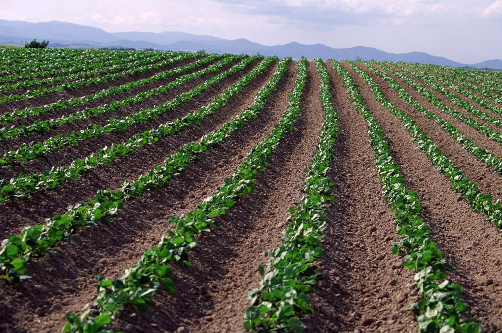 IID Boosts OnFarm Water Conservation Budget, Supports Continued