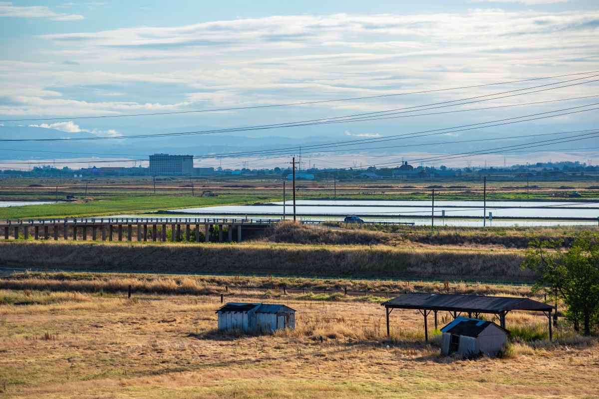 Yuba Water Approves More Than 4.2M for Infrastructure and Forest